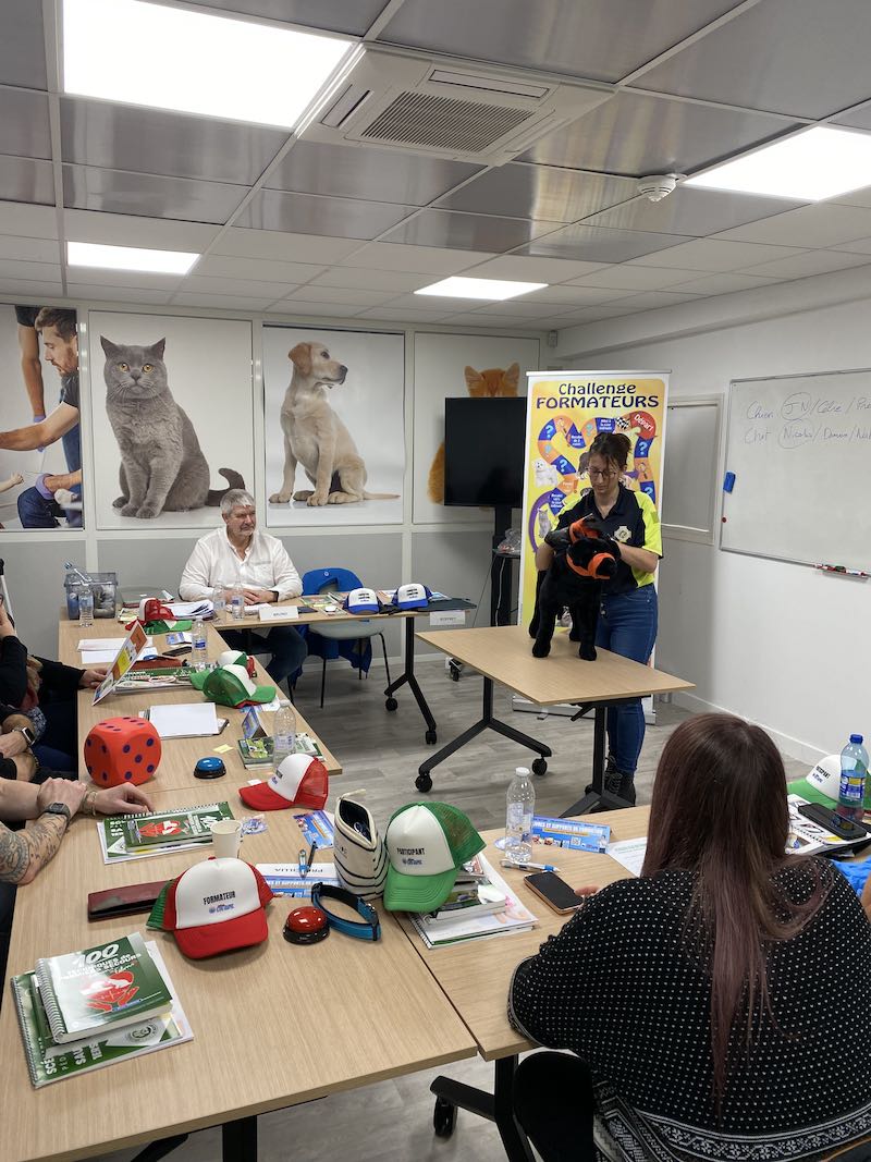 formation de formateurs premiers secours chien chat